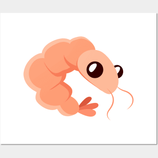 Cute cartoon shrimp Posters and Art